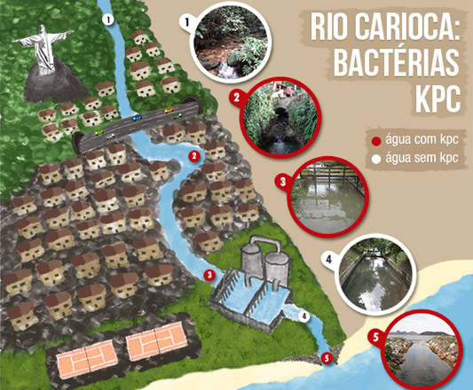 Infográfico mostrando ondese encontram as superbactérias