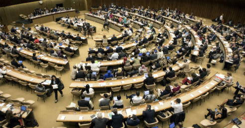 Deputies in the 70th World Health Assembly (Picture: WHO/L. Cipriani)
