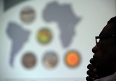 Febre amarela na América Latina e na África é tema de seminário (Foto: Peter Illiciev).