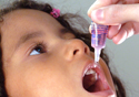 Criança pequena toma vacina