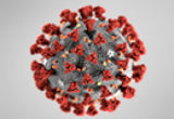 Imagem do coronavírus visto por microscópio