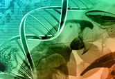 Montagem com papagaio, DNA, molusco e outras imagens que fazem referências a organismos vivos
