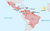 Mapa do mundo com destaque para países nas Américas com transmissão de zika