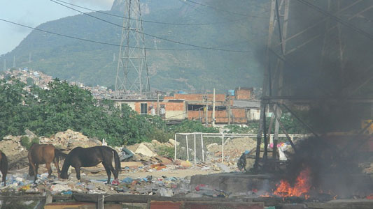 Cavalos vasculham pilhas de lixo num terreno baldio