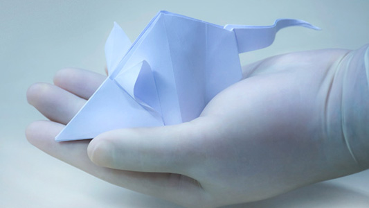 Mão com luva segura um origami de papel com a forma de um roedor