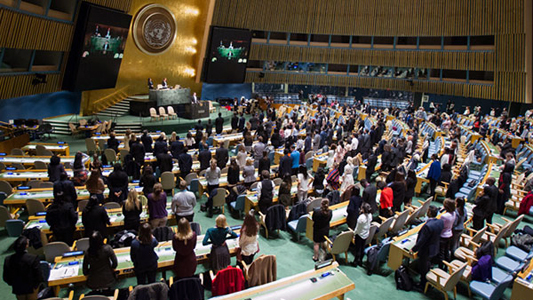 Assembleia da ONU