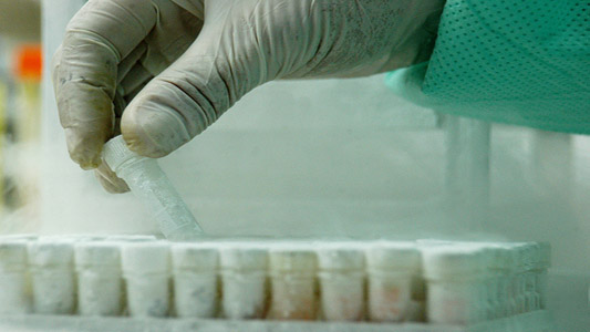 Imagem de uma mão manipulando material em laboratório