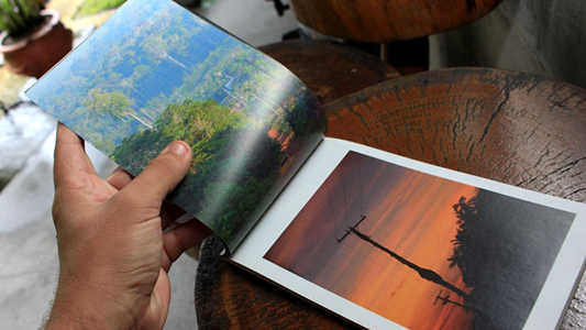 Livro aberto com duas fotos a primeira mostrando a floresta de dia e a segunda o por do sol 