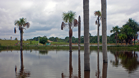 Foto de um lago no município Vale do Juruá, no Acre