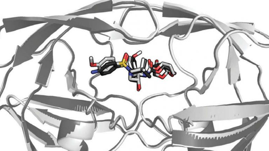 Montagem misturando conexões cerebrais dentro de um sistema computacional