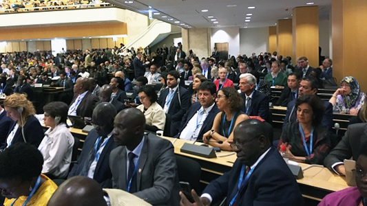 Nísia Trindade na Assembleia da ONU