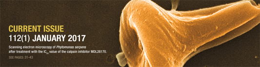 Capa da revista Memórias mostrando a bactéria causadora da leismaniose
