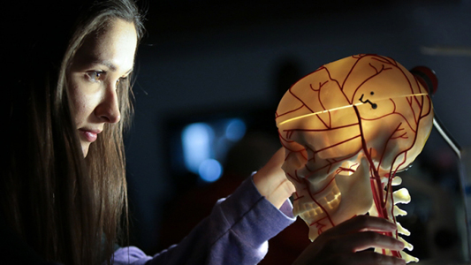 Menina olhando um crânio iluminado feito de plástico