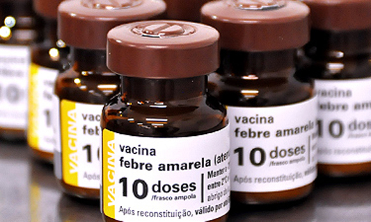 Potes de vacinas contra febre amarela