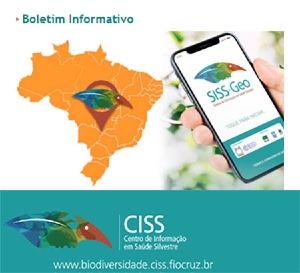 Boletim Informativo CISS