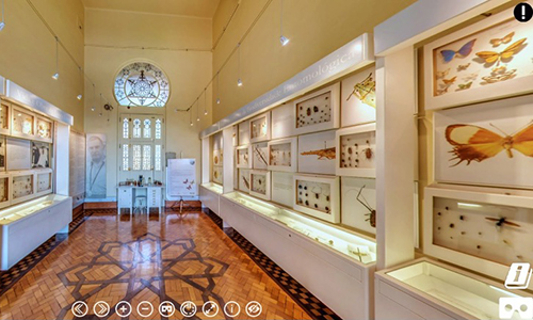 Imagem do tour virtual da sala de visitas da coleção entomológica mostra os insetos expostos nas paredes