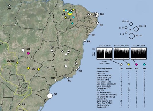 Mapa do Brasil mostrando as cidades com casos da doença