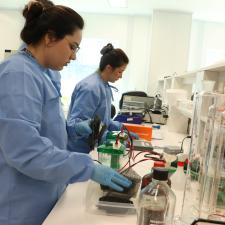 Duas pesquisadores, vestindo jalecos azuis e luvas, manuseiam vidrarias em um laboratório do Centro de Pesquisa.