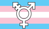 Fundo listras horizontais com as cores azul claro, rosa claro e branco, configurando as cores do Movimento Trans. No centro da imagem, aparece o símbolo do movimento trans.