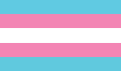imagem com as cores azul, rosa e branco na horizontal, representando a bandeira do movimento trans