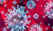 Coronavírus visto por microscópio