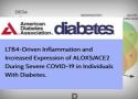 Estudo da Fiocruz Bahia, que analisa inflamação na Covid-19 grave em diabéticos, foi publicado na revista Diabetes, uma das mais importantes do mundo