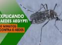 Explicando o Aedes Aegypti