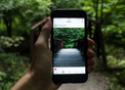 Pessoa fotografando uma floresta com o celular