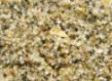 Foto em macro de grãos de areia