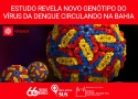 Estudo revela novo genótipo do vírus da dengue circulando na Bahia