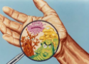 Desenho de micróbios na palma de uma mão