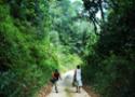 Foto de pessoas caminhando por estrada de terra em meio a uma floresta