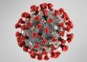 Imagem do vírus ampliada em um microscópio