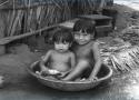 Duas crianças bem pequenas brincando em uma bacia com água