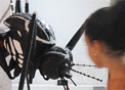 Foto de uma menina observando uma escultura do mosquito Aedes aegypti durante uma exposição no Museu da Vida