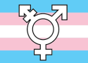 Fundo listras horizontais com as cores azul claro, rosa claro e branco, configurando as cores do Movimento Trans. No centro da imagem, aparece o símbolo do movimento trans.