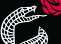 Desenho estilizado mostra um lagarto engolindo uma rosa