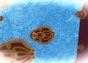 Parasitas do gênero Schistosoma, causadores da doença