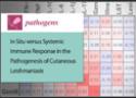 In Situ versus Systemic Immune Response in the Pathogenesis of Cutaneous Leishmaniasis