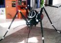 Foto de uma escultura do mosquito da dengue