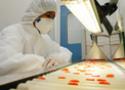 Técnico com equipamento de proteção individual observa cápsulas de remédios cor laranja em esteira de produção