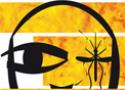 Ilustração com o mosquito transmissor da febre amarela