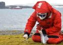 Pesquisador coletando material para a pesquisa no solo antártico