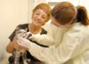 Veterinária examina um gato, com a ajuda de uma mulher