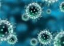 Vírus h1n1 visto pelo microscópio