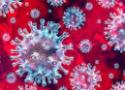 Coronavírus visto por microscópio