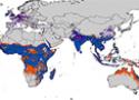 Imagem mostrando os países com mais possibilidades de serem afetados pelo vírus zika