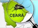 Arte sobre mapa do estado do Ceará com lupa sobre mosquito
