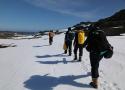 Pesquisadores caminhando na Antártica