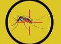 Desenho do mosquito dentro de um alvo